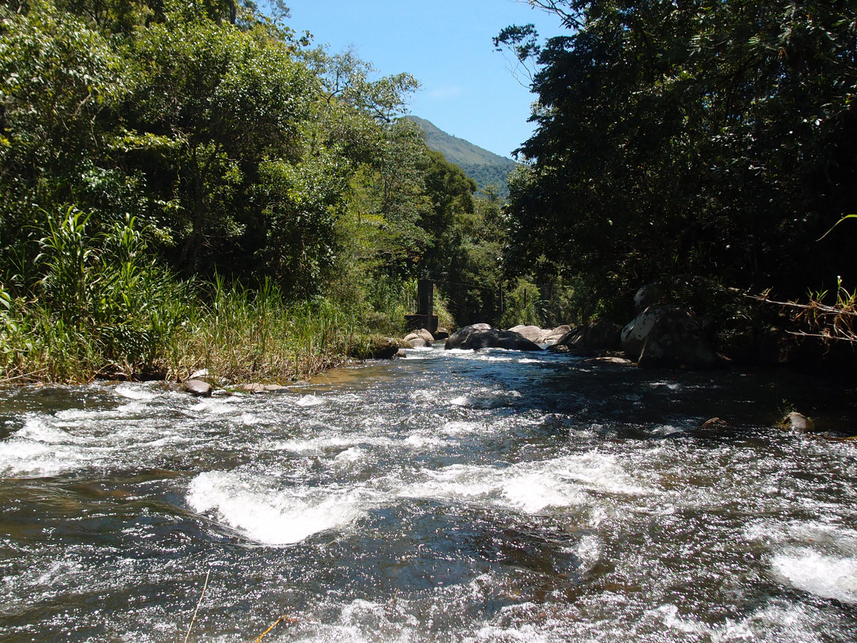 2016-02-10 am Fluss (Foto, Video)